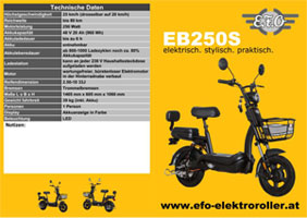 EFO Scooter ES300 Anhaengerpark Salzburg