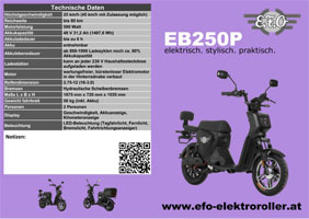 EFO Scooter ES300 Anhaengerpark Salzburg